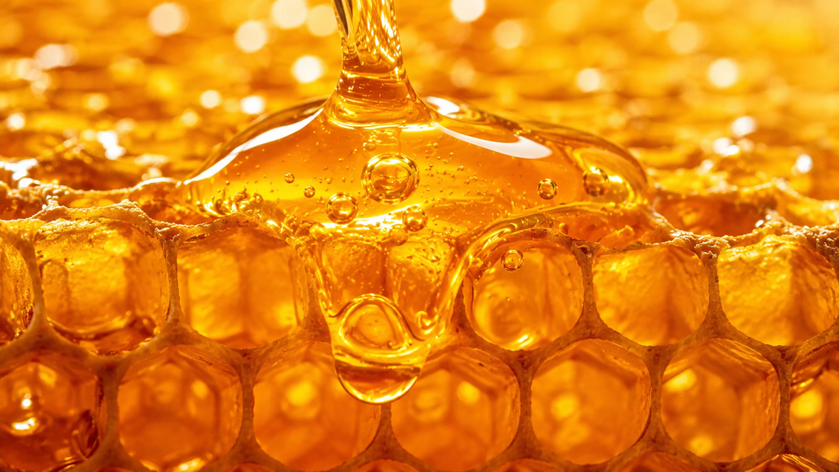 Premium honey and pantry ingredients